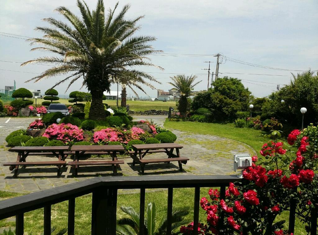 Jeju Again Olle Pension Exteriör bild