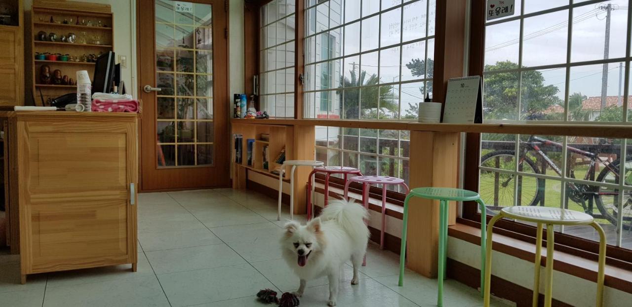 Jeju Again Olle Pension Exteriör bild